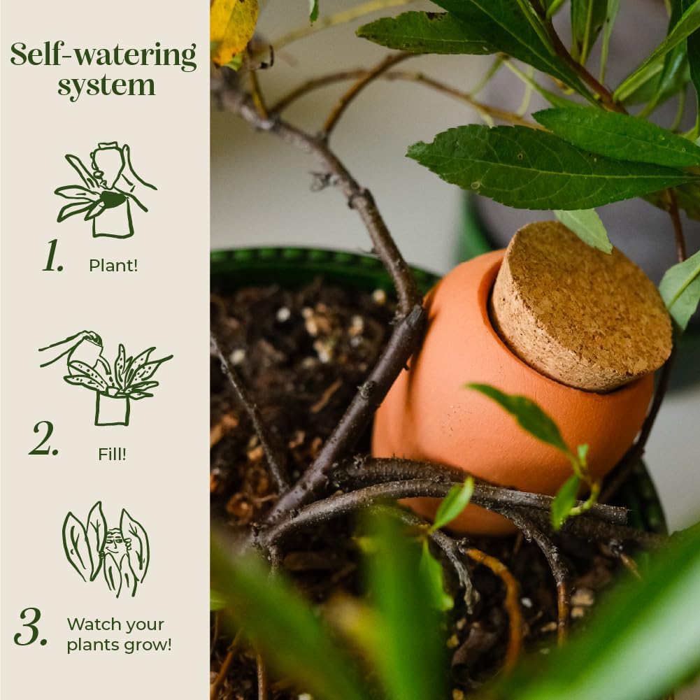 Pepin | Olla Terracotta per piante | Irrigazione automatica ed ecologica per piante da interno ed esterno | Irrigazione naturale | Durata di circa 1 settimana | OYA Strisce Arancione e Blu 25cl